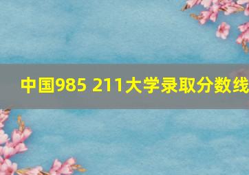 中国985 211大学录取分数线